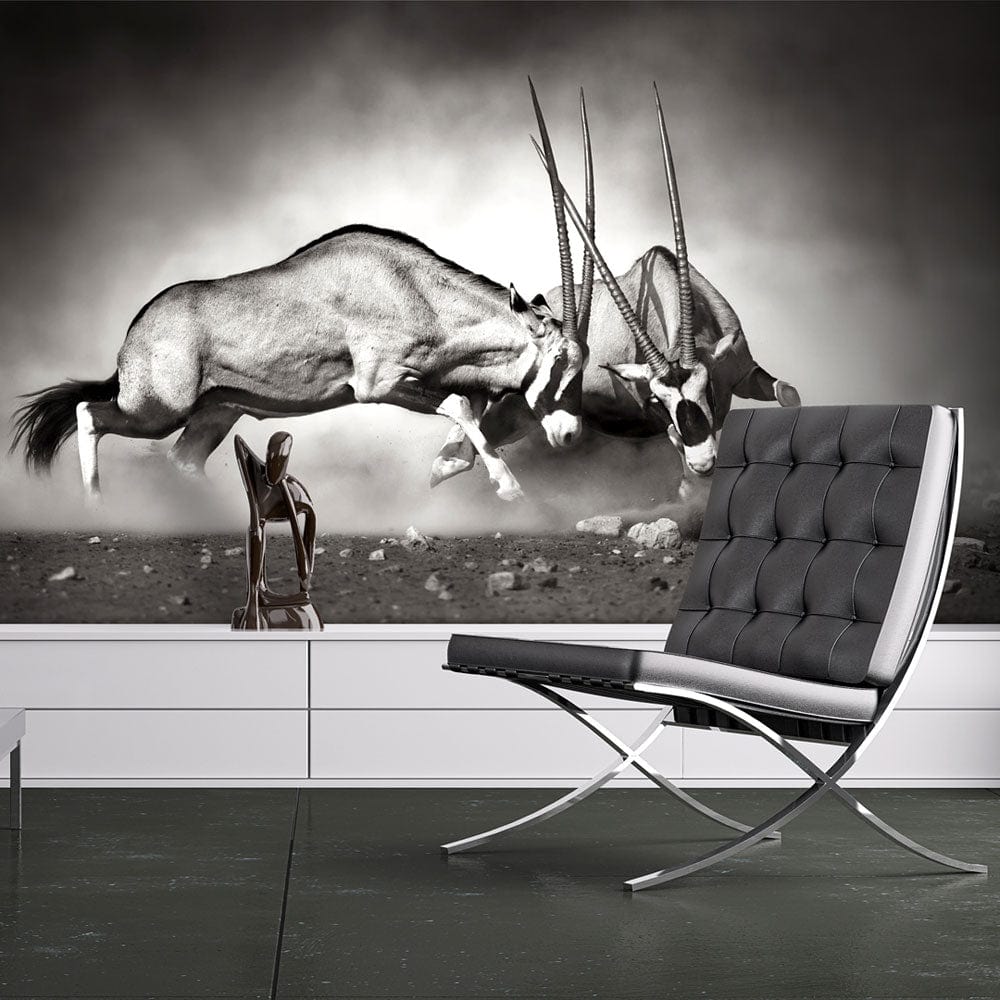 Fototapetes - Gemsbok cīņa E-interjers.lv