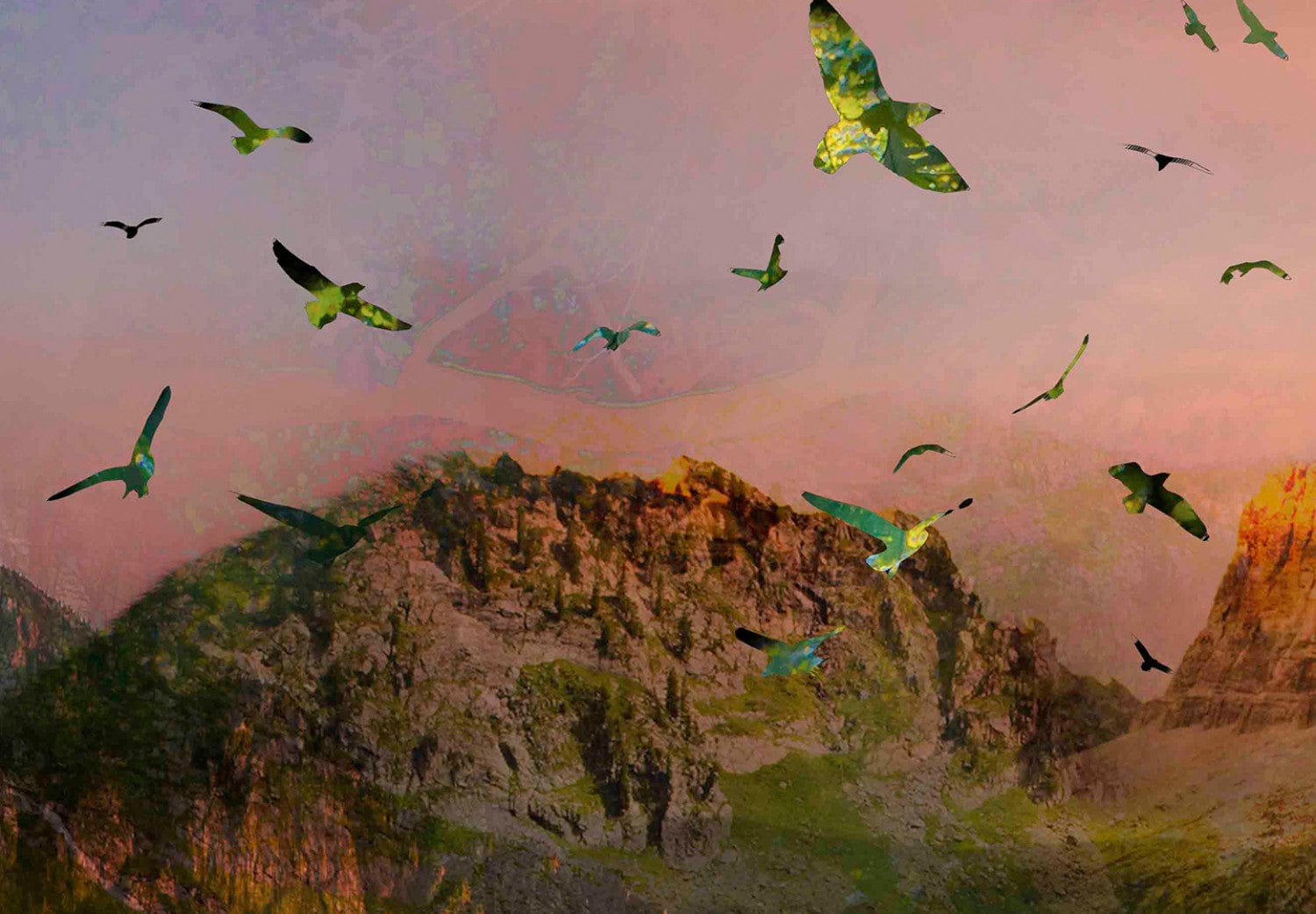 Fototapetes - Lācis kalnā E-interjers.lv