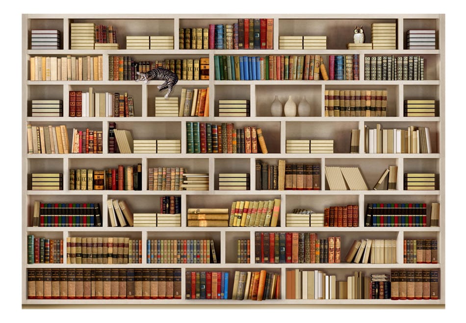 Fototapetes - Mājas bibliotēka E-interjers.lv