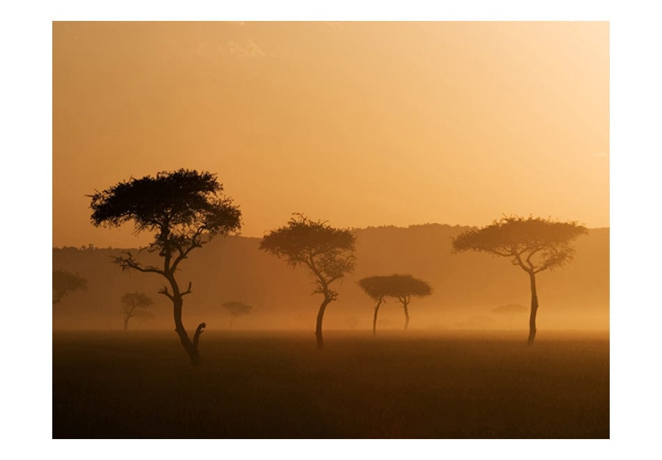 Fototapetes - Massai Mara E-interjers.lv