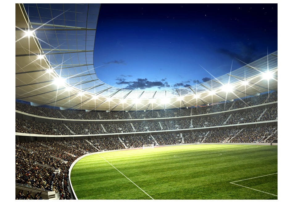 Fototapetes - Nacionālais stadions E-interjers.lv