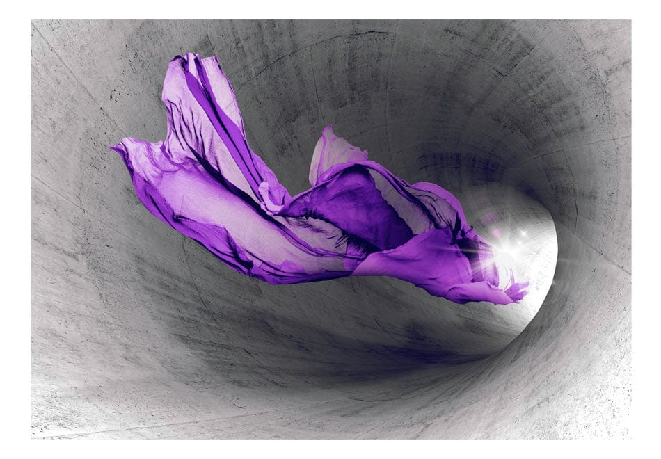 Fototapetes - Violeta parādīšanās E-interjers.lv