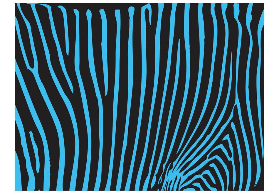 Fototapetes - Zebras raksts (tirkīza) E-interjers.lv