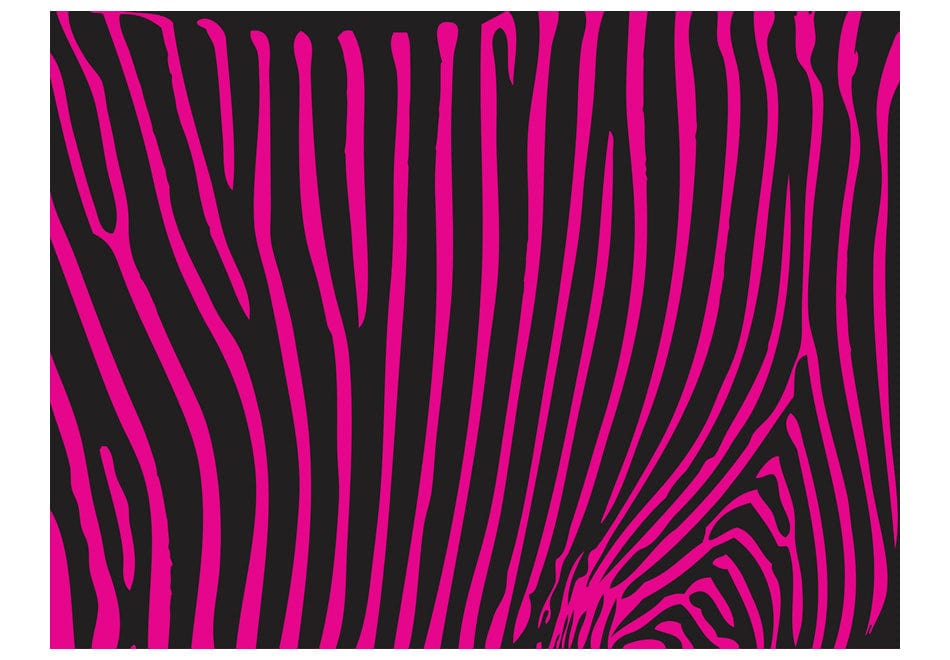 Fototapetes - Zebras raksts (violets) E-interjers.lv