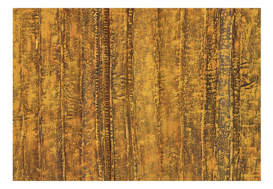 Fototapetes - Zelta kamera E-interjers.lv