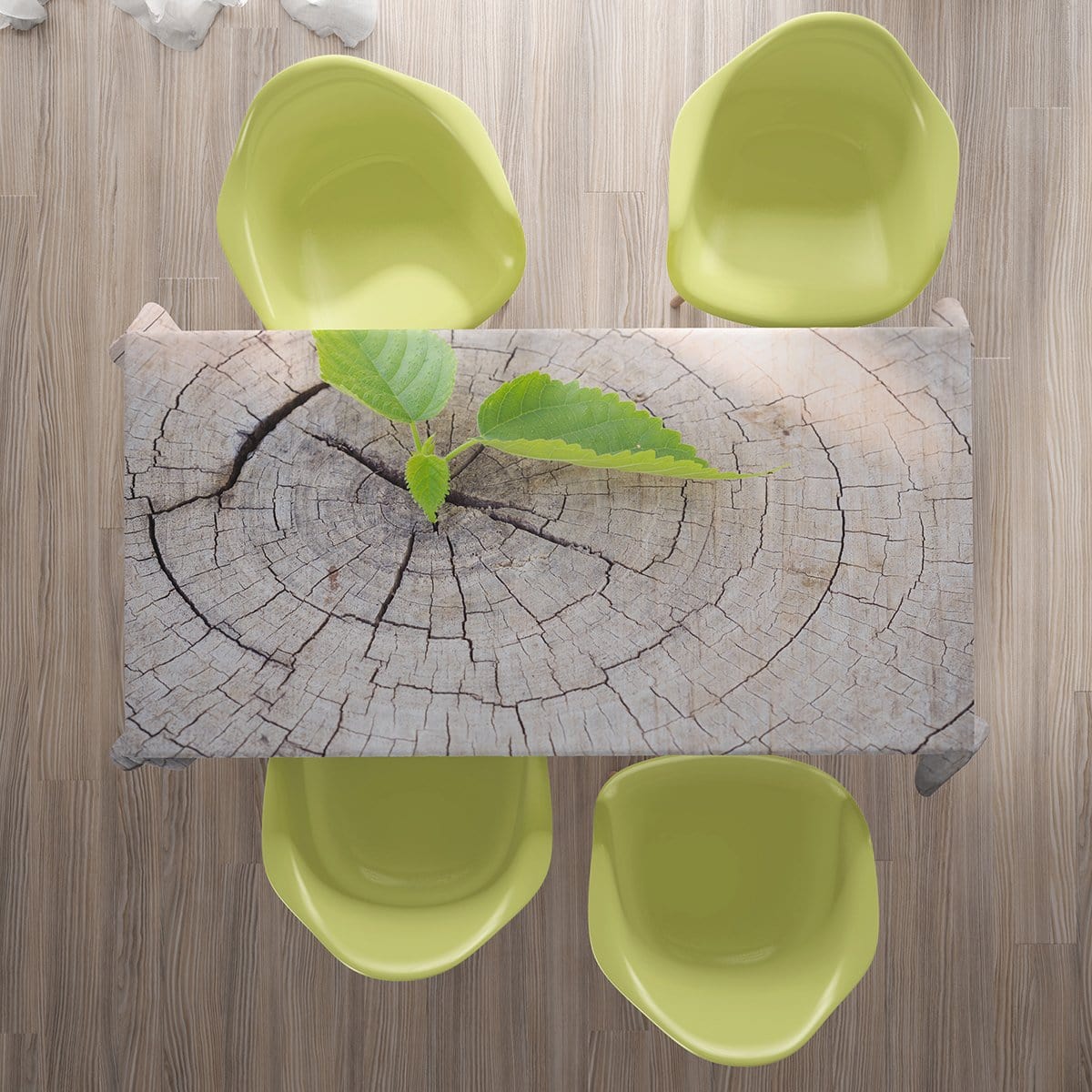 Galdauts - Koku celmi 2. versija Home Trends
