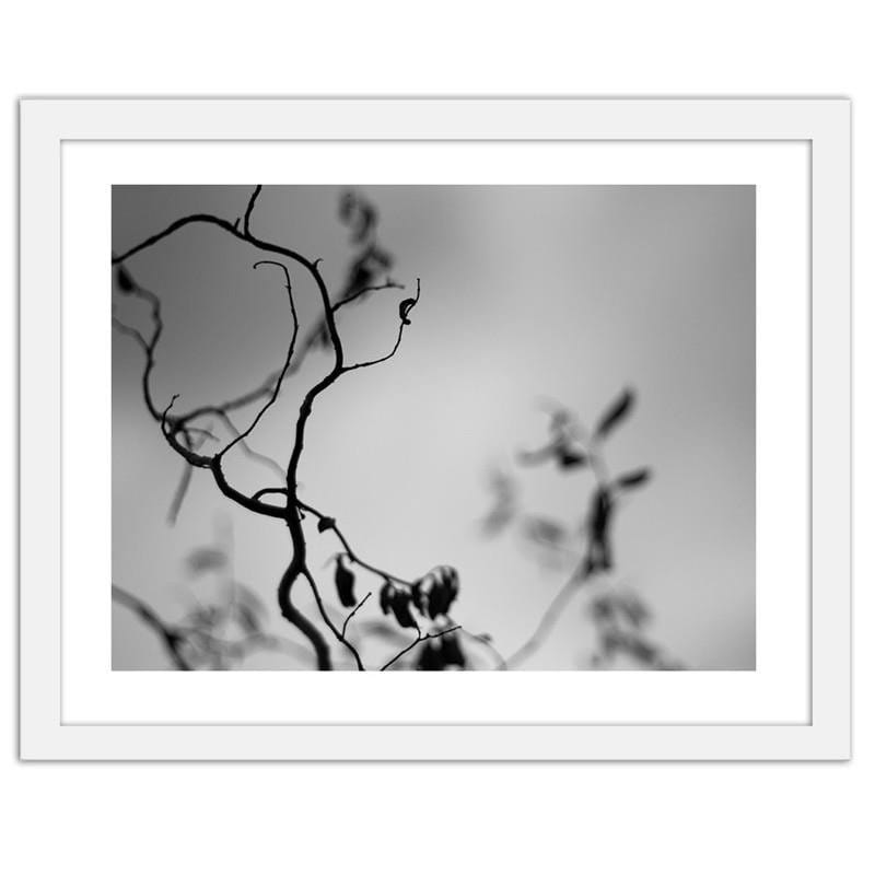 Glezna baltā rāmī - A branch on a gray background Home Trends DECO