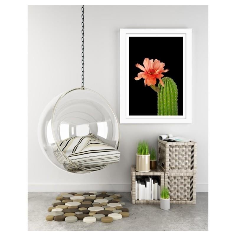Glezna baltā rāmī - A cactus with a red flower Home Trends DECO