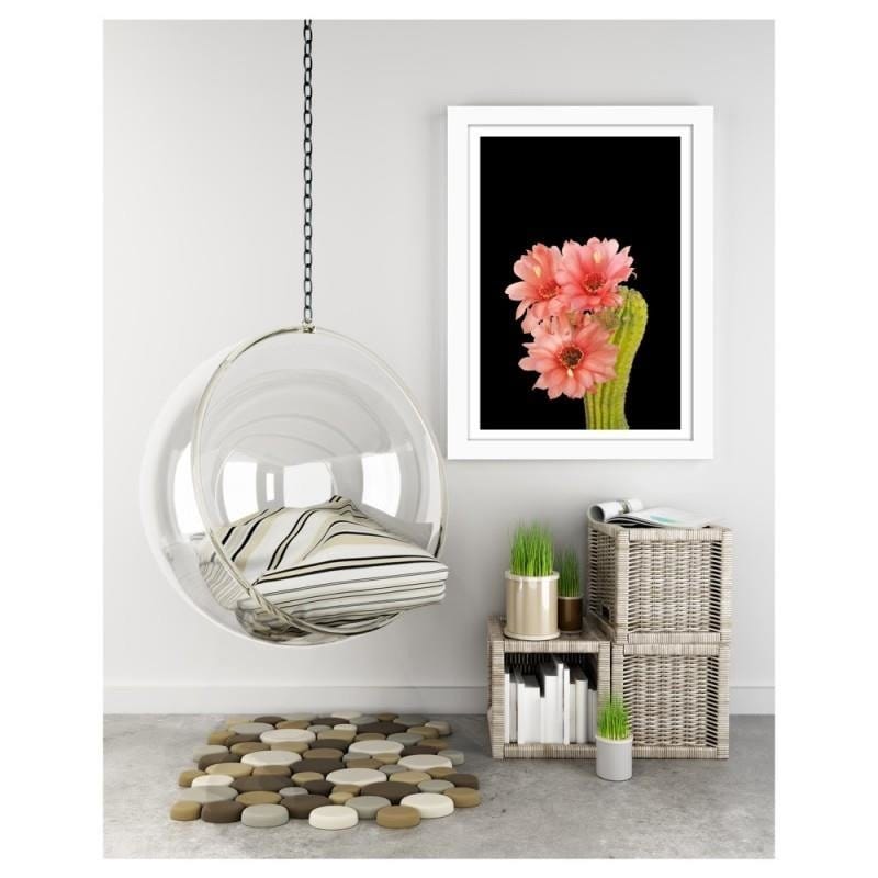 Glezna baltā rāmī - A cactus with red flowers Home Trends DECO