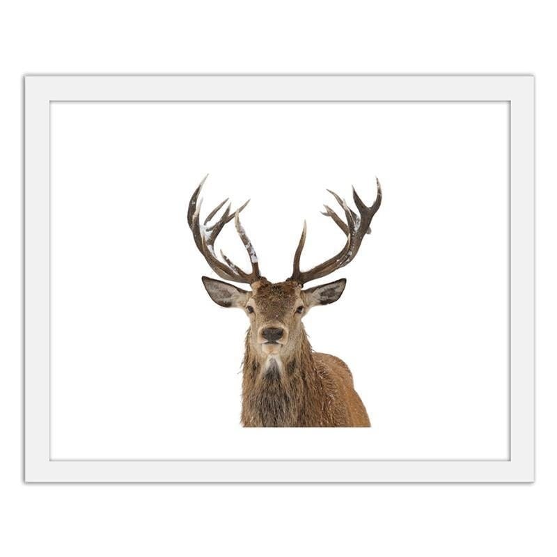 Glezna baltā rāmī - A deer's head on a white background Home Trends DECO