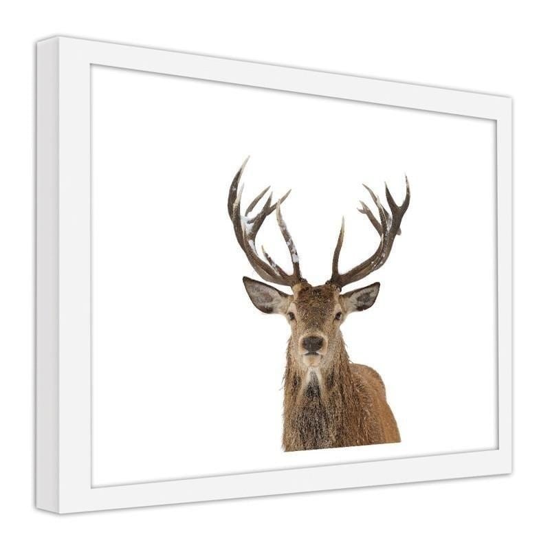 Glezna baltā rāmī - A deer's head on a white background Home Trends DECO