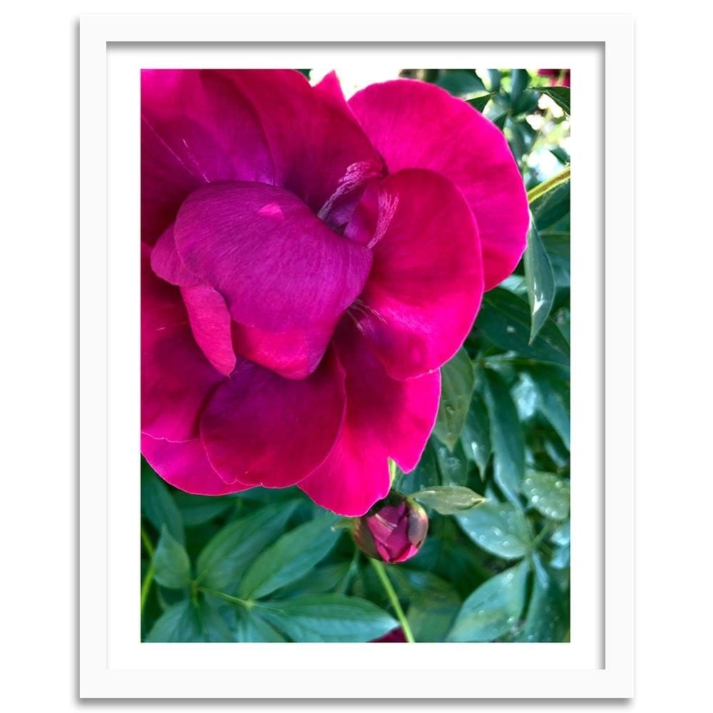 Glezna baltā rāmī - A Large Pink Flower Home Trends DECO