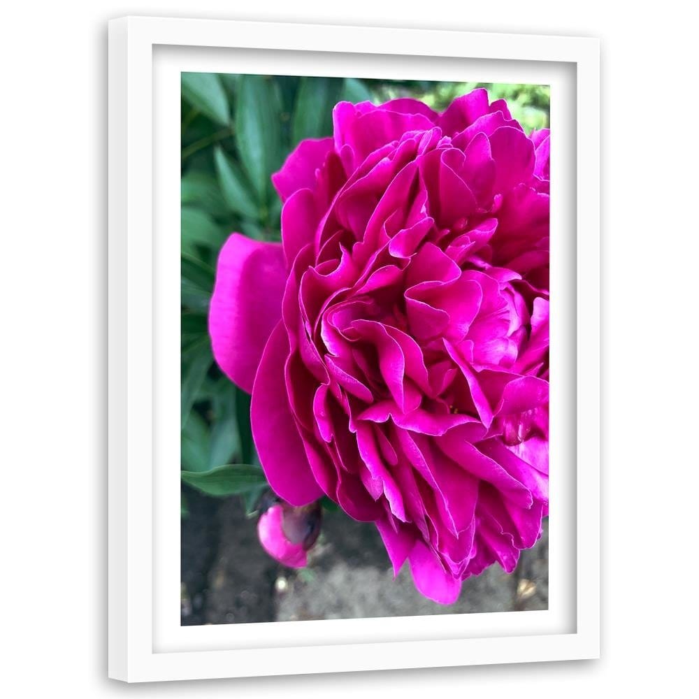 Glezna baltā rāmī - A Large Pink Flower Home Trends DECO