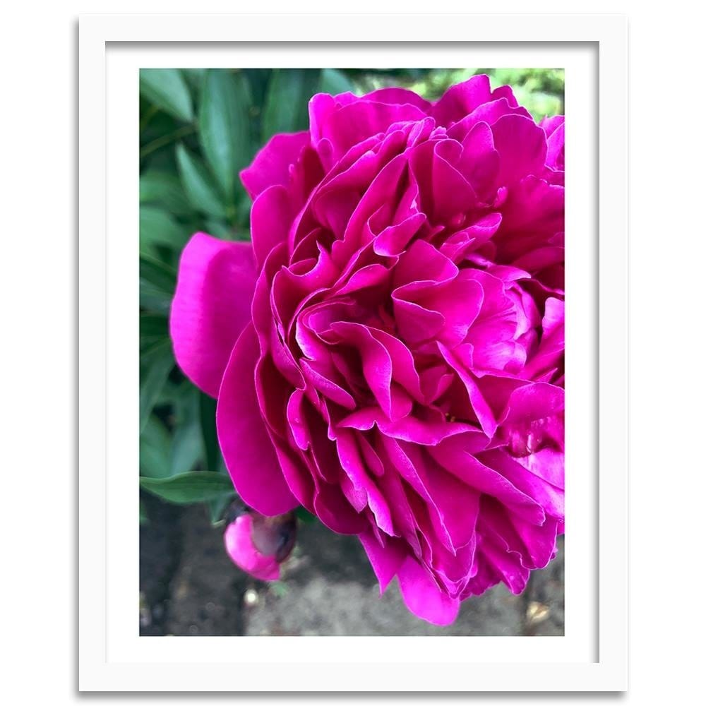 Glezna baltā rāmī - A Large Pink Flower Home Trends DECO