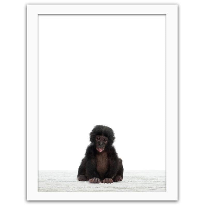 Glezna baltā rāmī - A little chimpanzee. Home Trends DECO