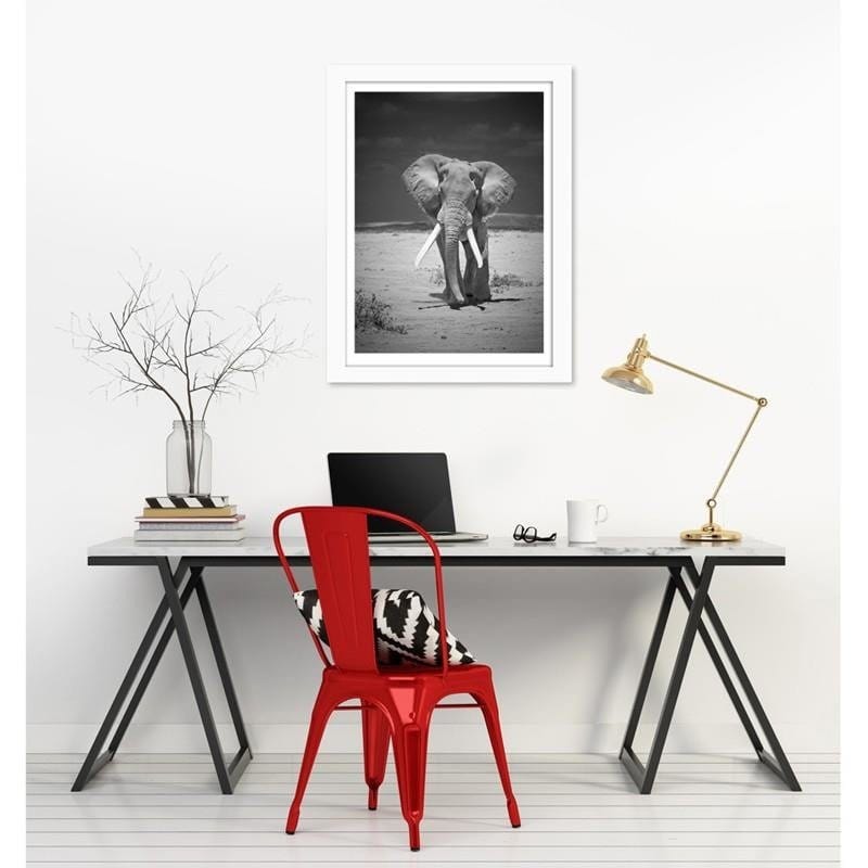 Glezna baltā rāmī - A lonely wandering elephant Home Trends DECO