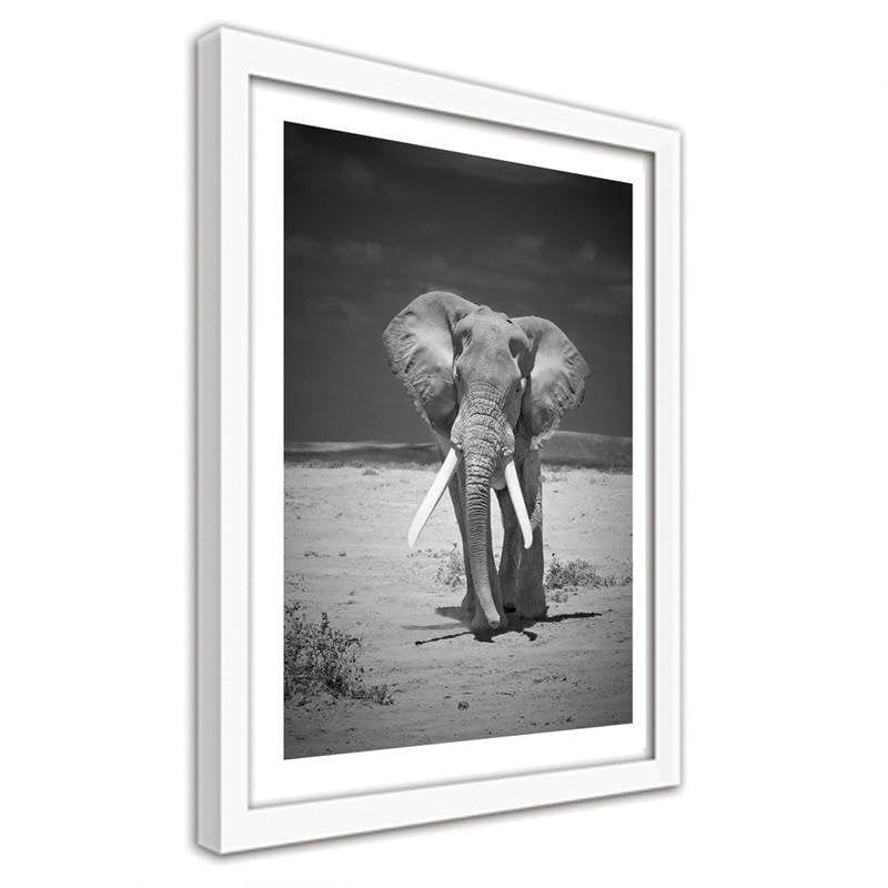 Glezna baltā rāmī - A lonely wandering elephant Home Trends DECO