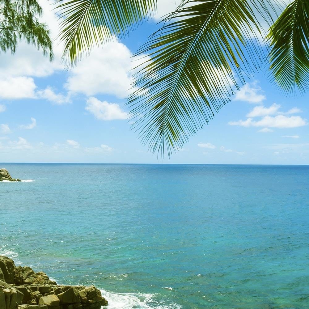 Glezna baltā rāmī - A Rock In The Sea 3 Home Trends DECO