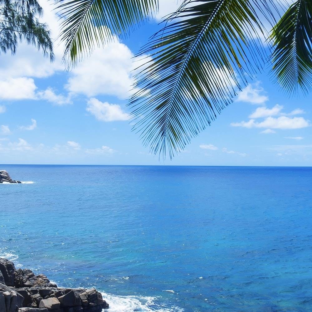 Glezna baltā rāmī - A Rock In The Sea 4 Home Trends DECO