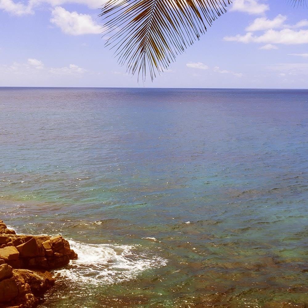 Glezna baltā rāmī - A Rock In The Sea Home Trends DECO