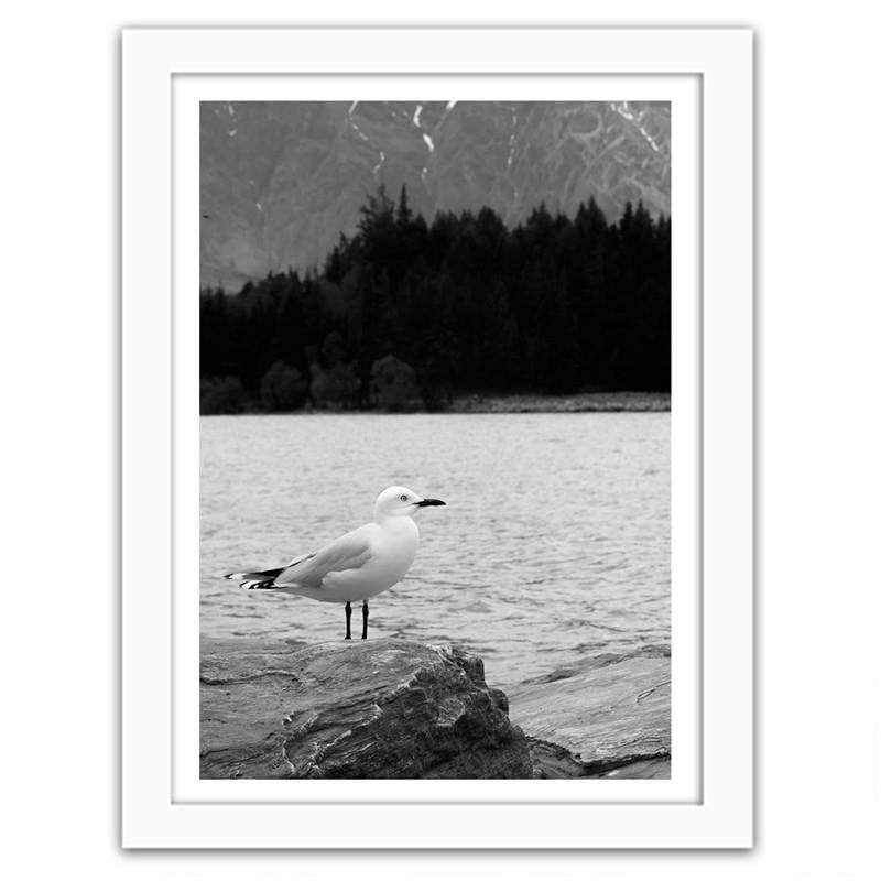 Glezna baltā rāmī - A seagull on a rock Home Trends DECO