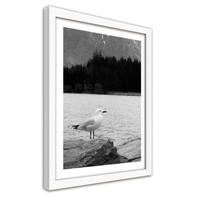 Glezna baltā rāmī - A seagull on a rock Home Trends DECO