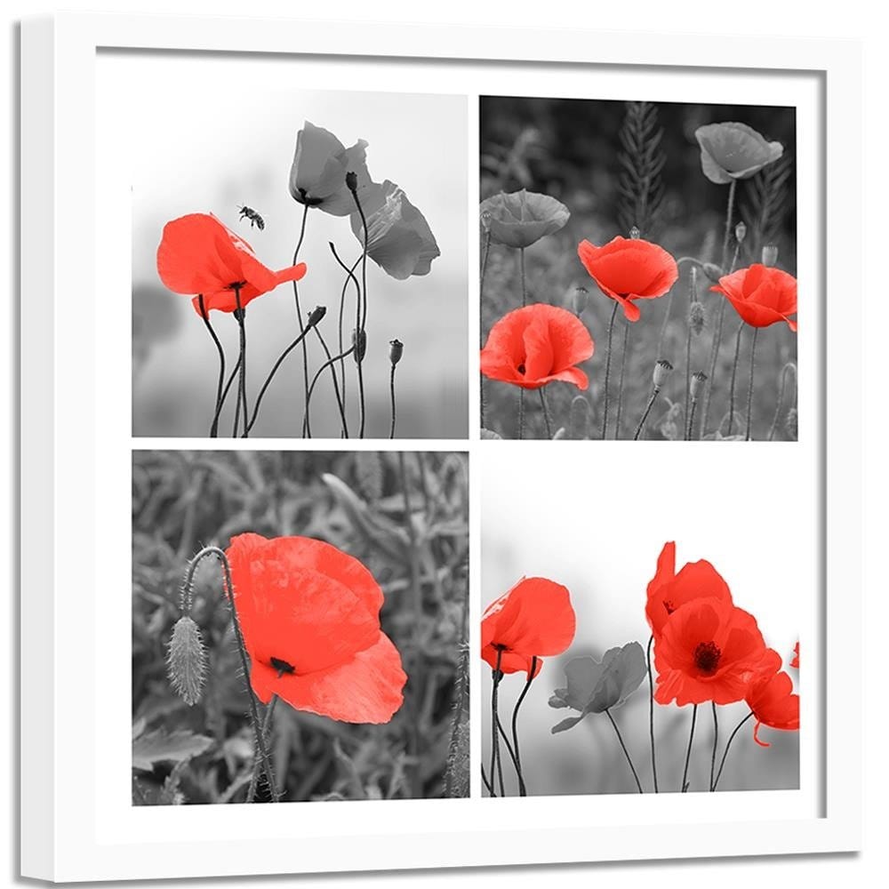Glezna baltā rāmī - A Set Of Red Poppies Home Trends DECO