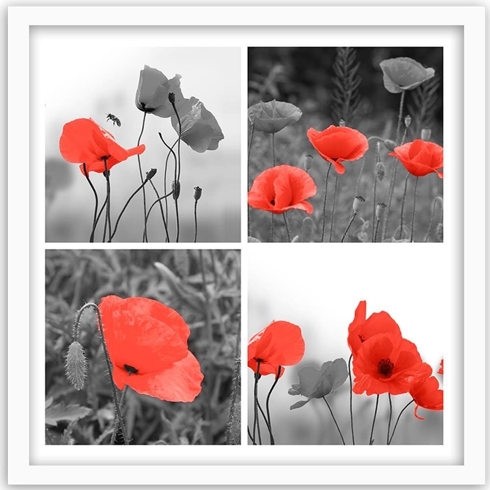 Glezna baltā rāmī - A Set Of Red Poppies Home Trends DECO
