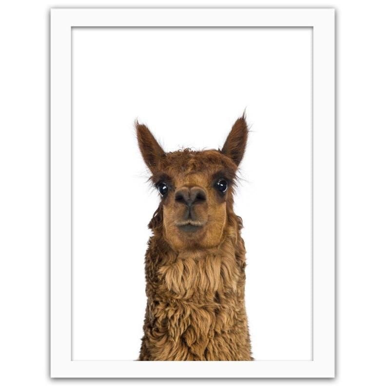 Glezna baltā rāmī - Alpaca Home Trends DECO