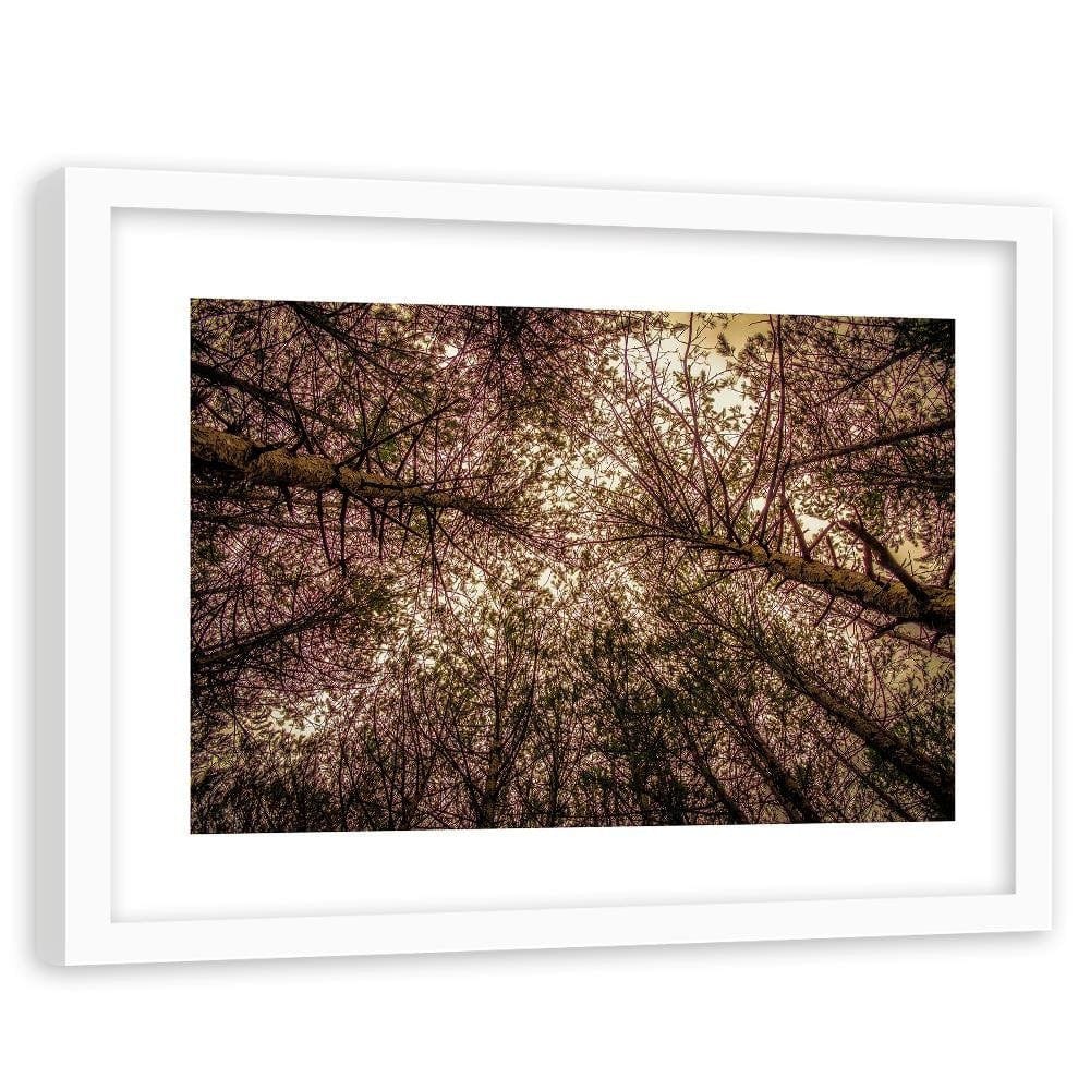 Glezna baltā rāmī - Among The Trees Home Trends DECO