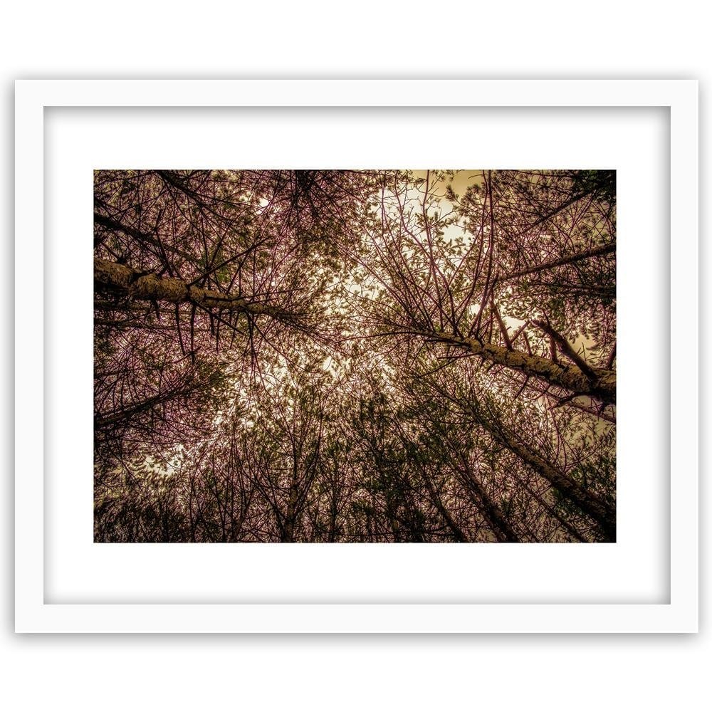 Glezna baltā rāmī - Among The Trees Home Trends DECO