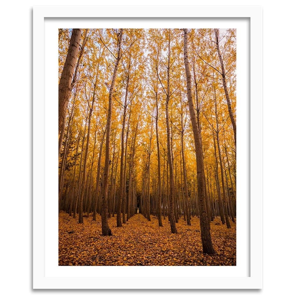 Glezna baltā rāmī - And Birch Leaves Home Trends DECO