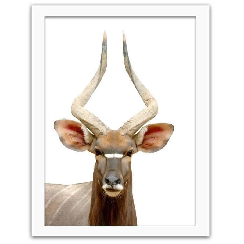 Glezna baltā rāmī - Antelope Home Trends DECO