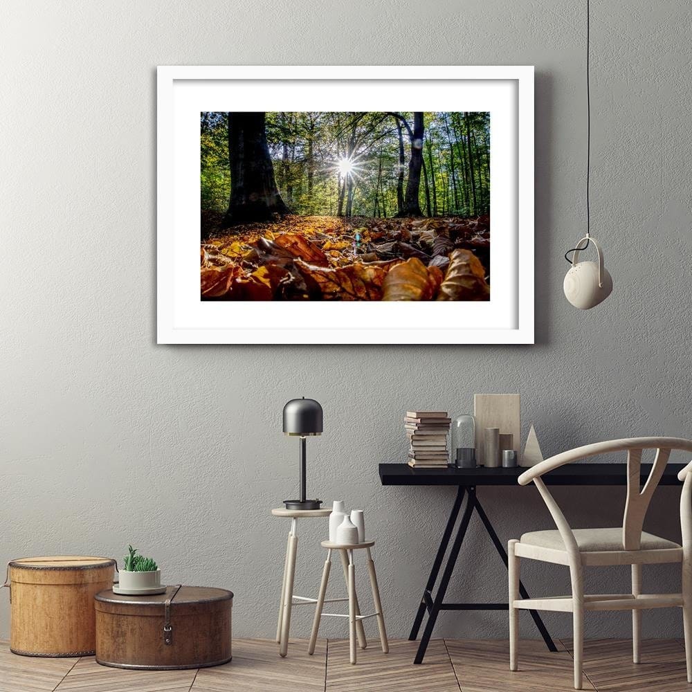 Glezna baltā rāmī - Autumn Leaves In The Sun Home Trends DECO