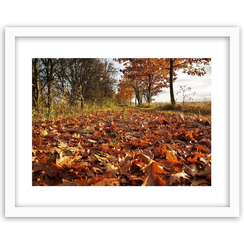 Glezna baltā rāmī - Autumn Leaves On The Forest Road Home Trends DECO
