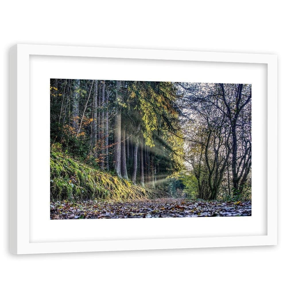 Glezna baltā rāmī - Autumn Leaves On The Road In The Forest Home Trends DECO