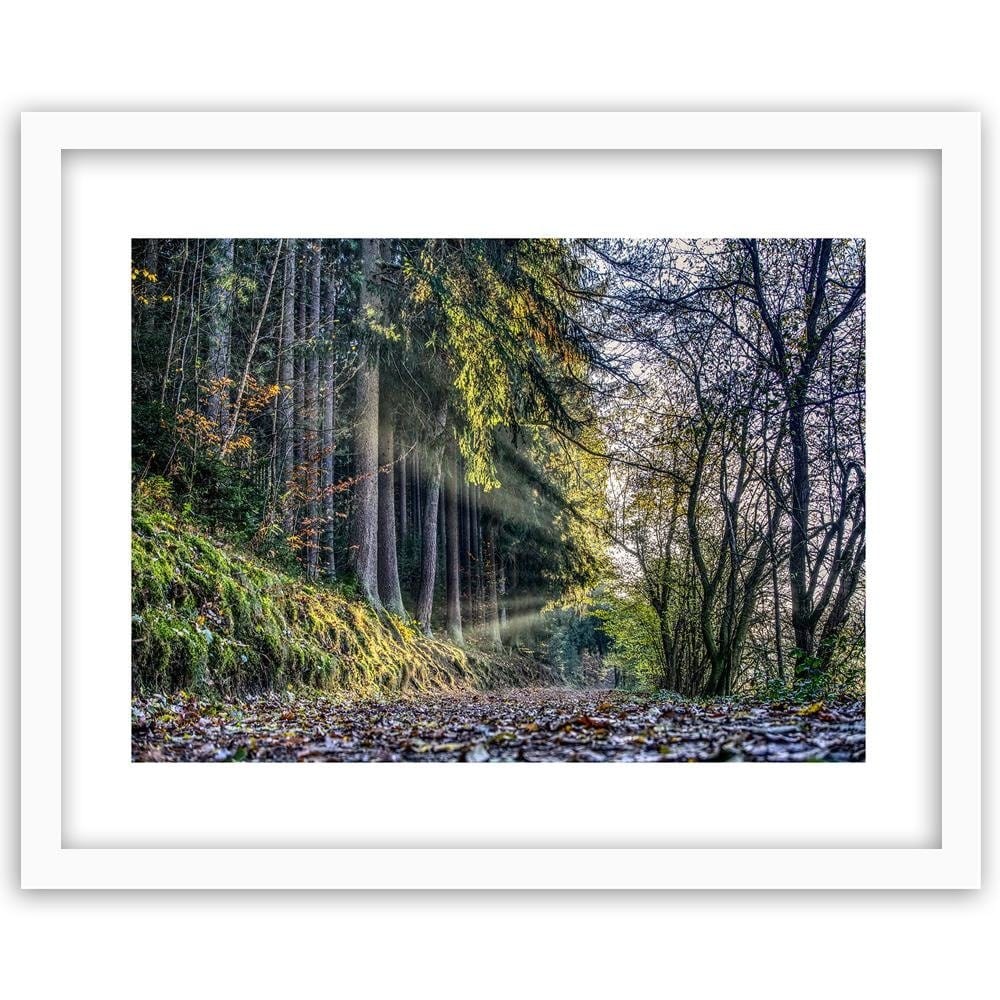 Glezna baltā rāmī - Autumn Leaves On The Road In The Forest Home Trends DECO