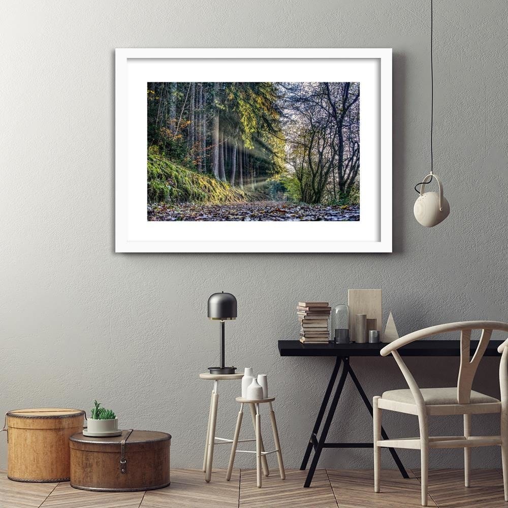 Glezna baltā rāmī - Autumn Leaves On The Road In The Forest Home Trends DECO