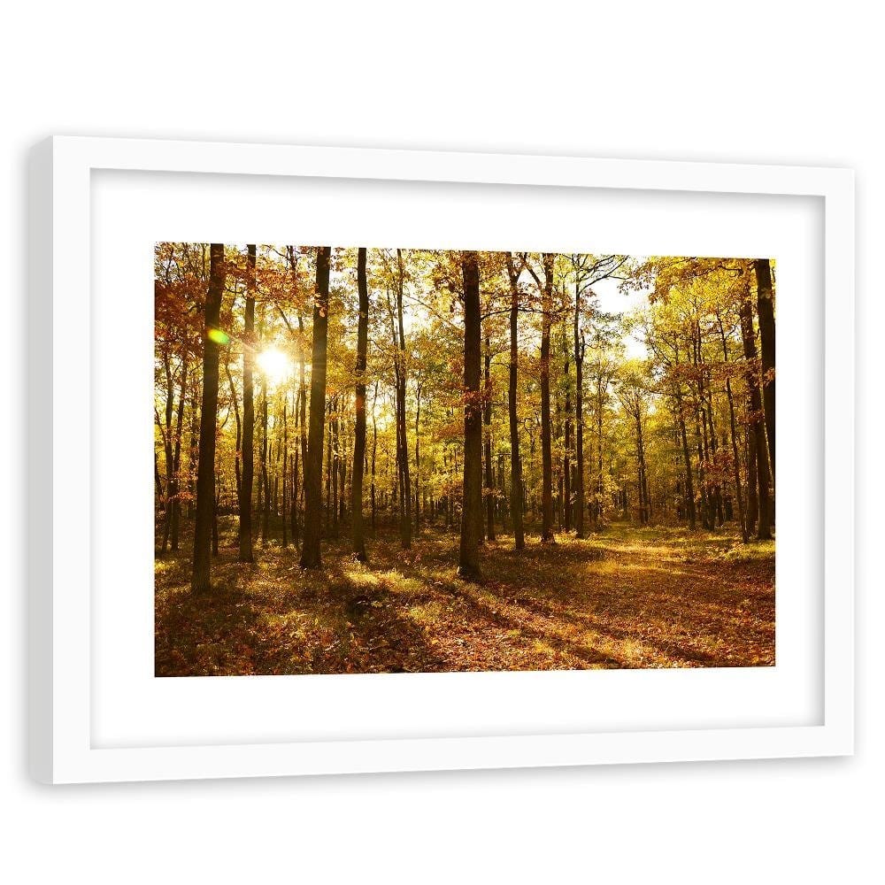 Glezna baltā rāmī - Autumn Sun Rays In The Forest Home Trends DECO
