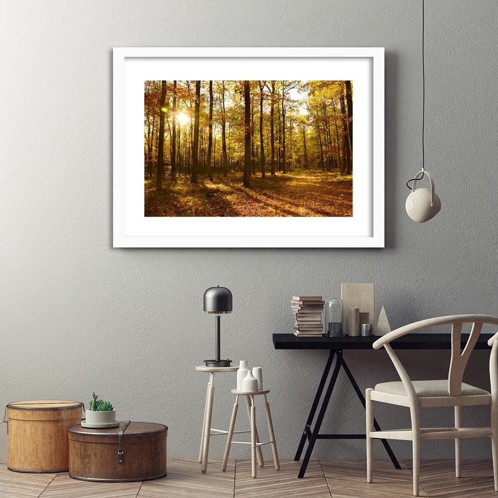 Glezna baltā rāmī - Autumn Sun Rays In The Forest Home Trends DECO