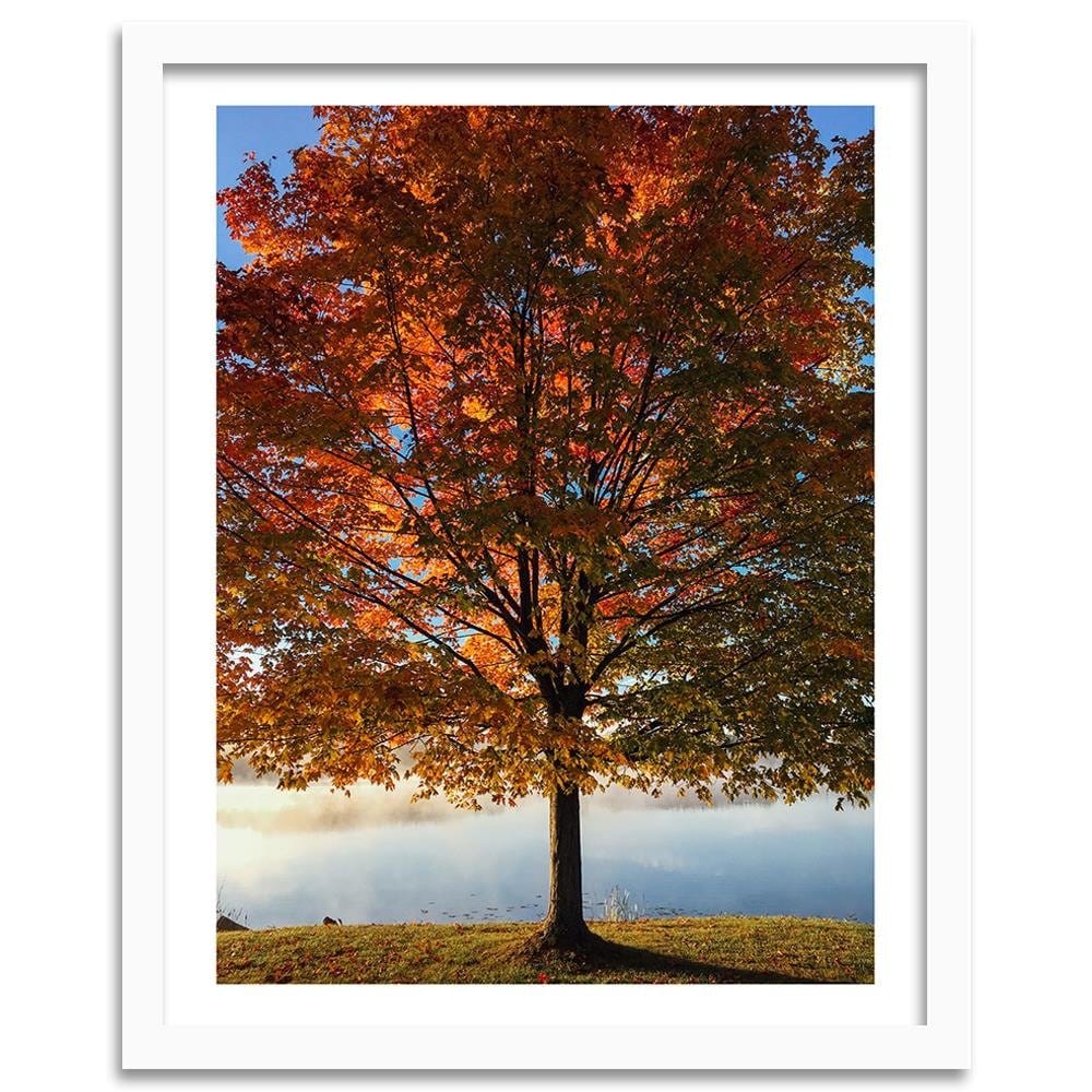 Glezna baltā rāmī - Autumn Tree Home Trends DECO