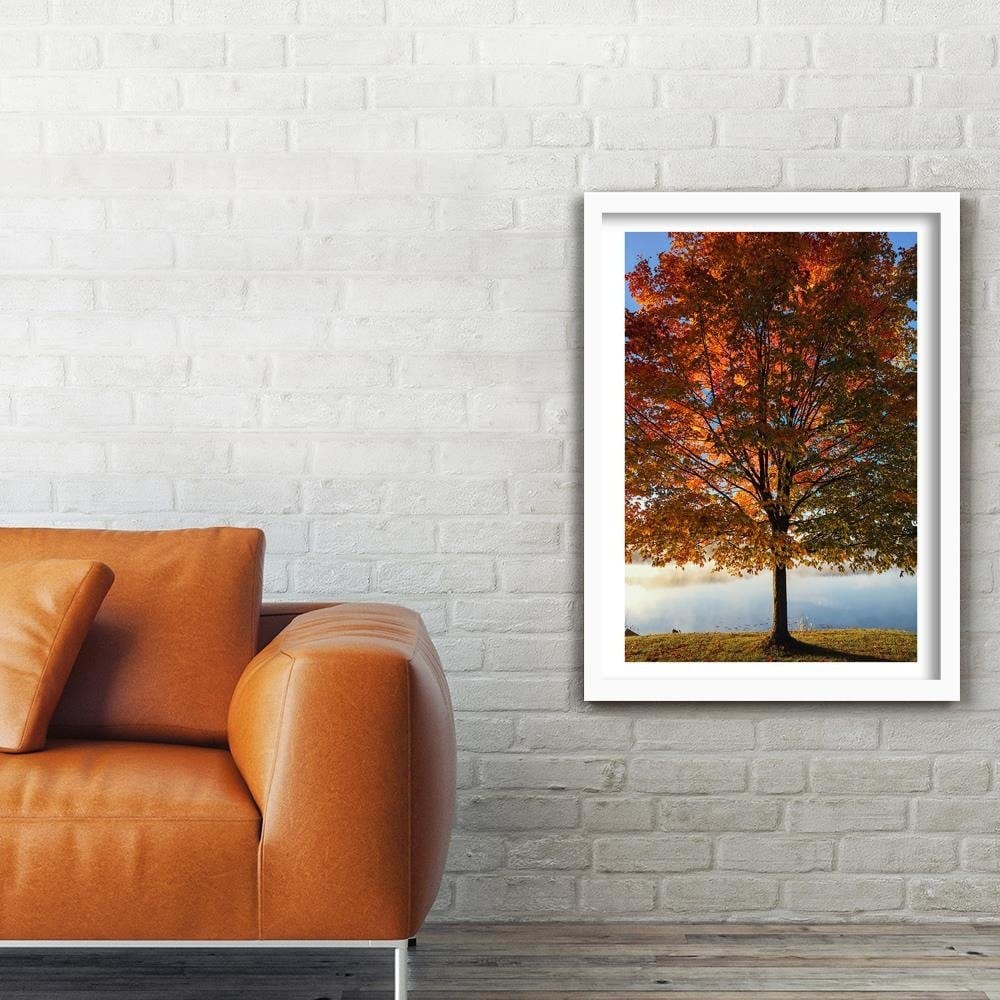 Glezna baltā rāmī - Autumn Tree Home Trends DECO