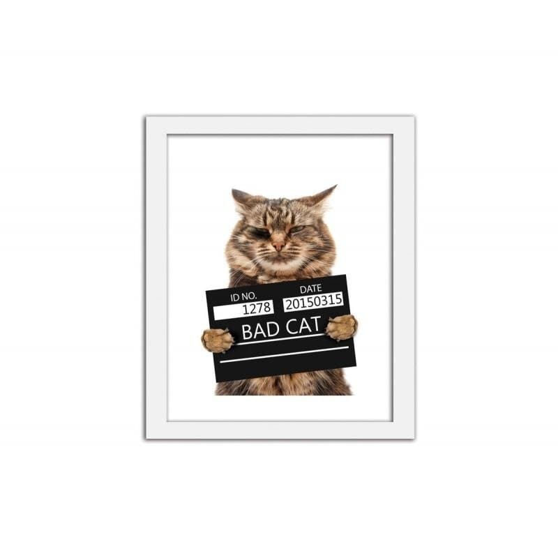 Glezna baltā rāmī - Bad cat Home Trends DECO