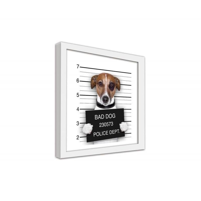 Glezna baltā rāmī - Bad dog 2 Home Trends DECO