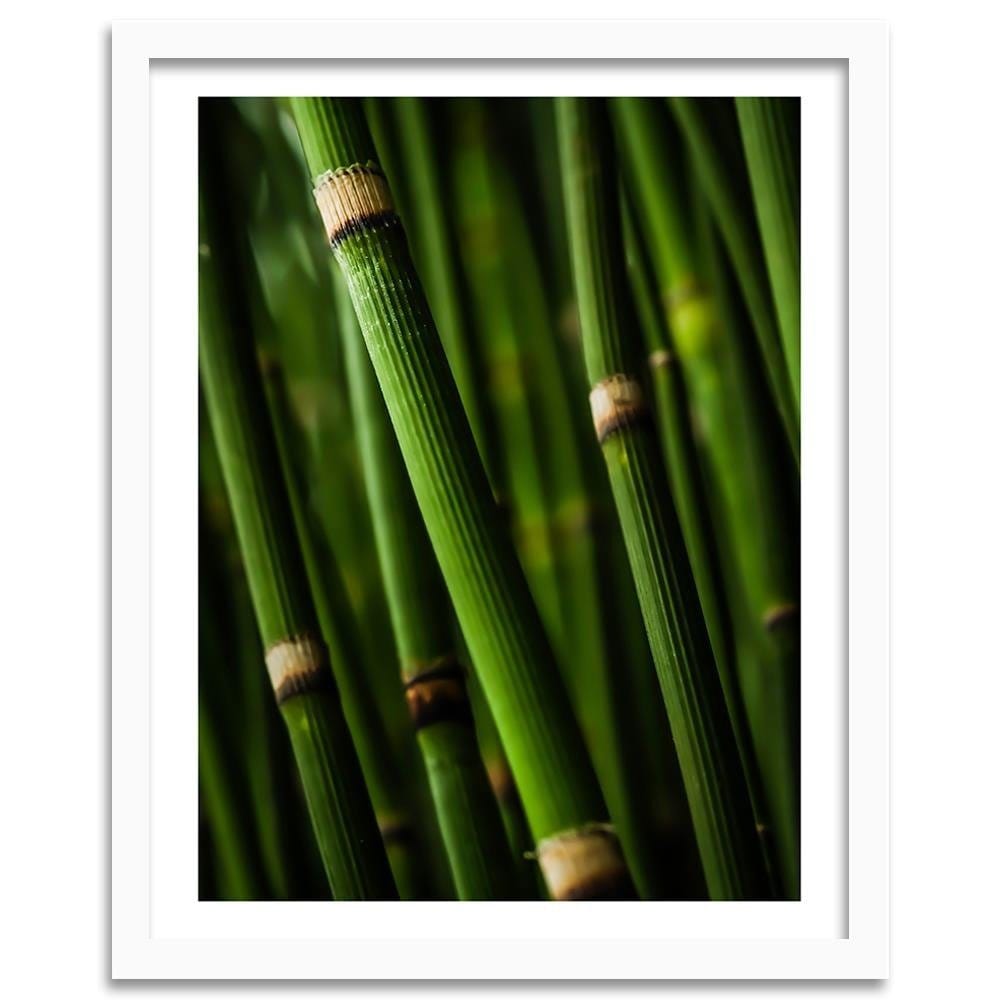 Glezna baltā rāmī - Bamboo Forest Home Trends DECO