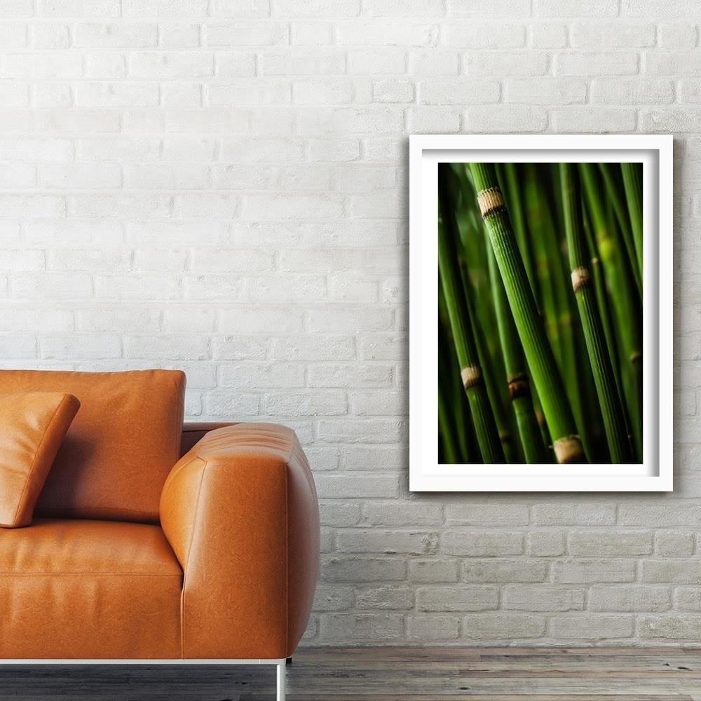 Glezna baltā rāmī - Bamboo Forest Home Trends DECO