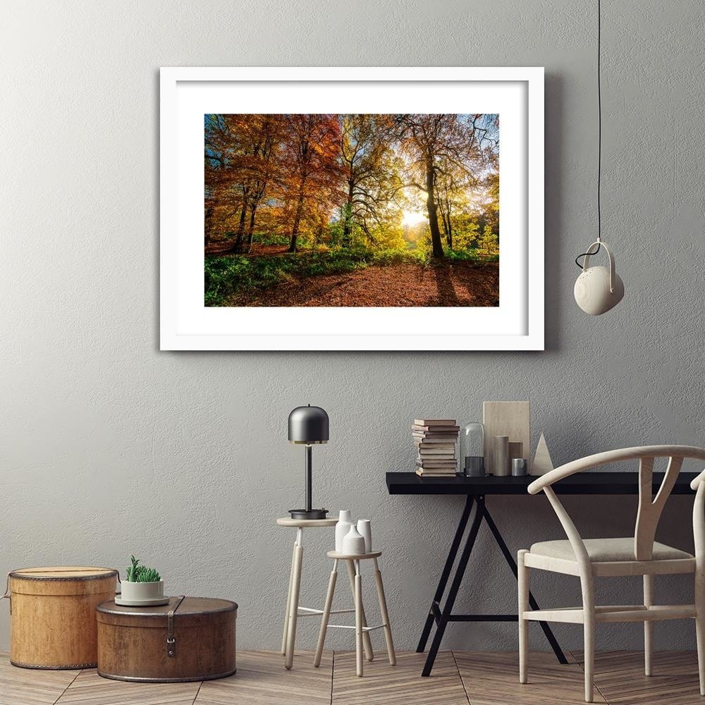 Glezna baltā rāmī - Beautiful Autumn Forest Home Trends DECO