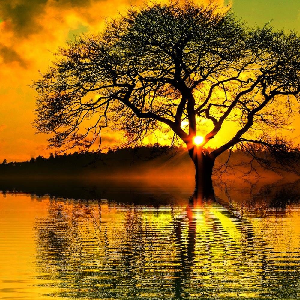 Glezna baltā rāmī - Beautiful Sunset Home Trends DECO