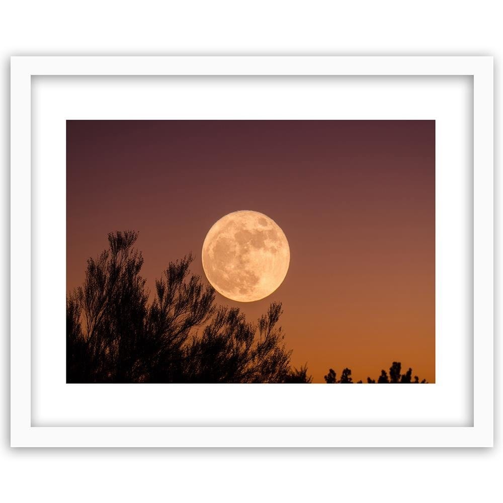 Glezna baltā rāmī - Big Moon Home Trends DECO