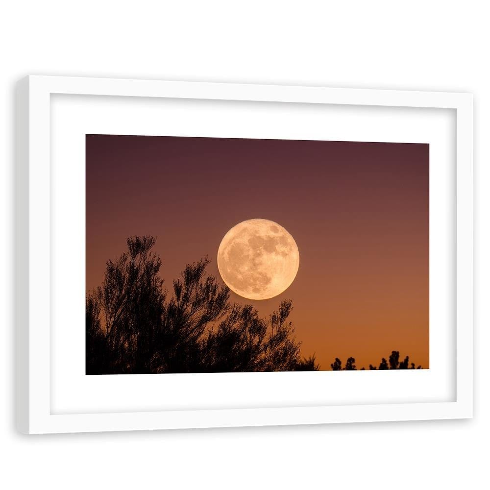 Glezna baltā rāmī - Big Moon Home Trends DECO